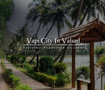 vapi_city vapi_image